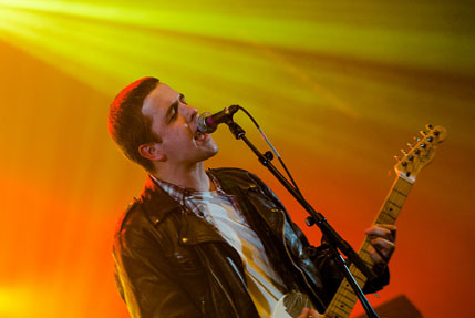 the wombats